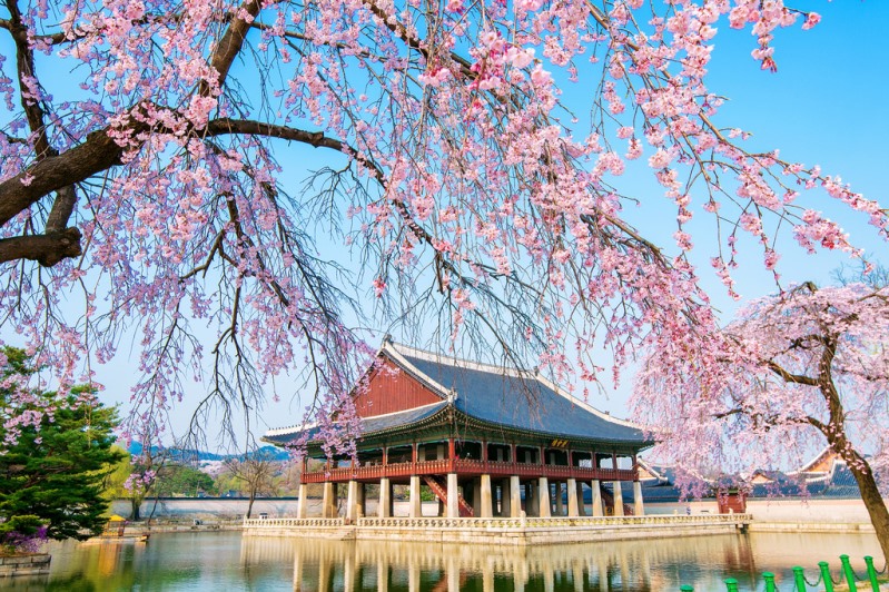Hàn Quốc là quốc gia phát triển mạnh mẽ về du lịch 