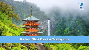 Du học Nhật Bản tại Wakayama - Vùng đất hành hương nổi tiếng